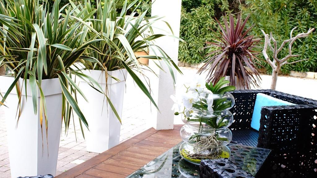 ساناري سور مير La Villa Blanche الغرفة الصورة