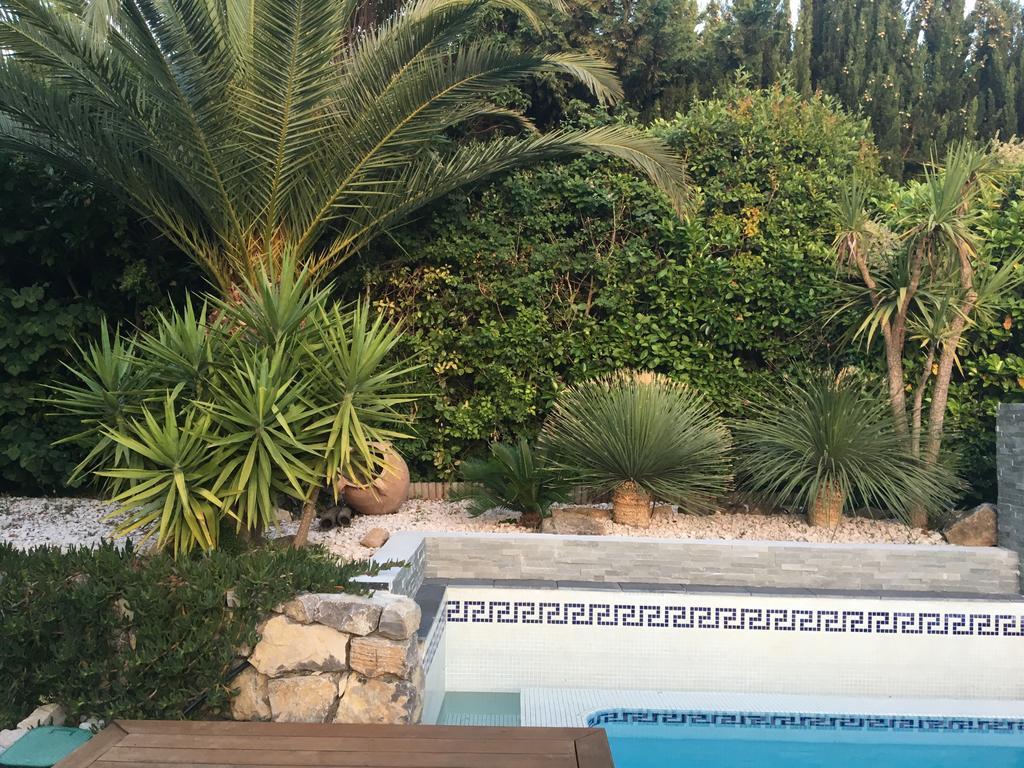 ساناري سور مير La Villa Blanche المظهر الخارجي الصورة